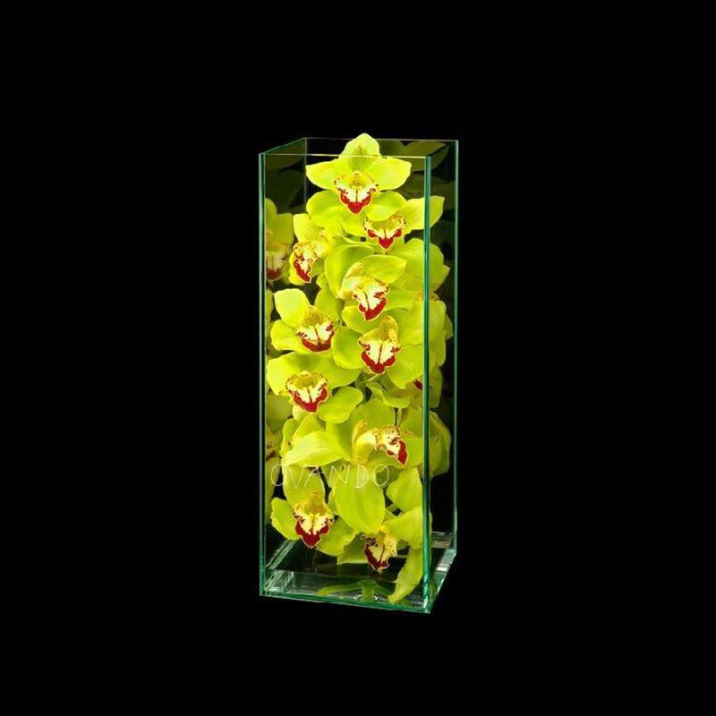 Orchid Enclosed